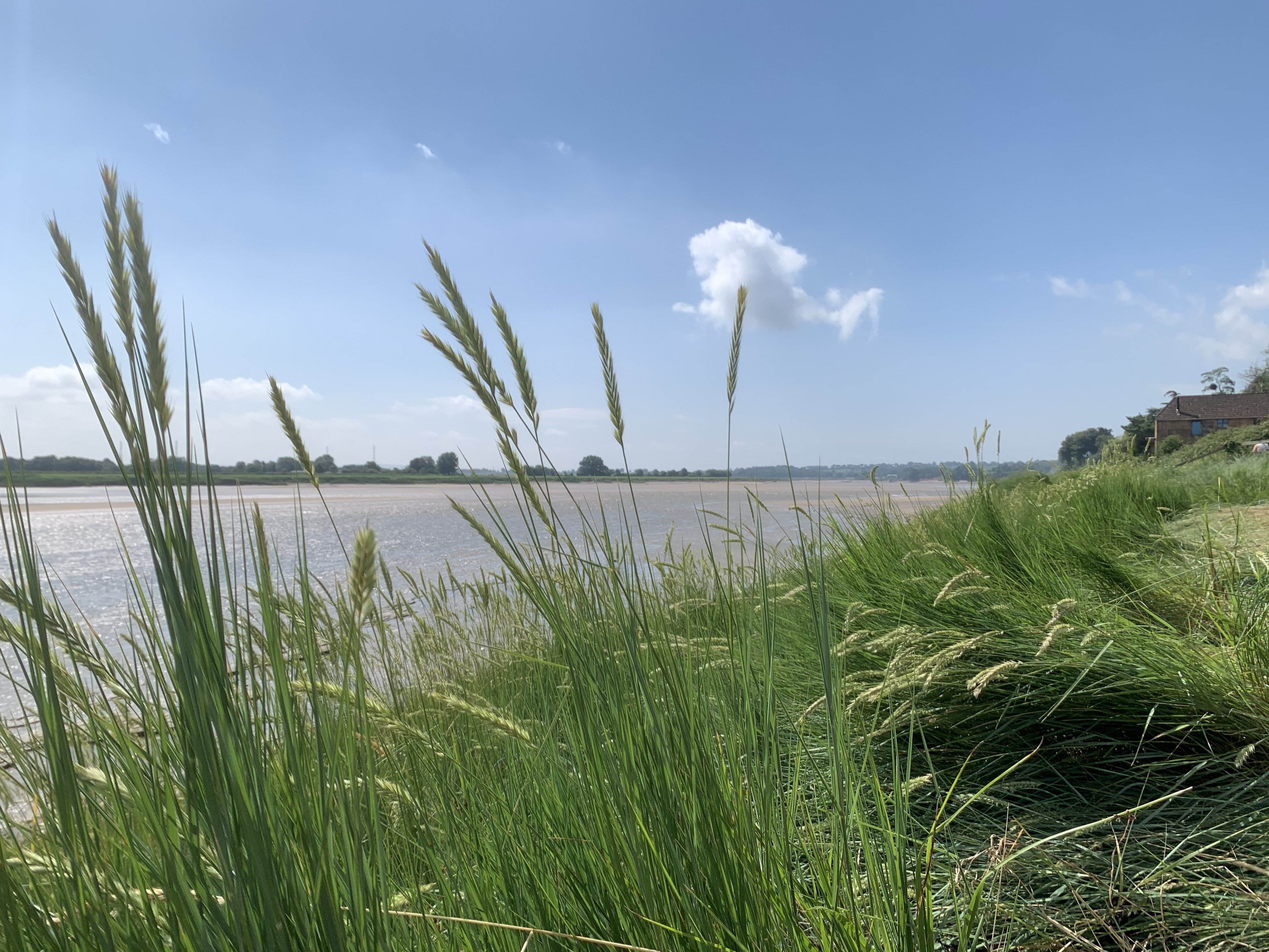 Severnbank Freeman Homes