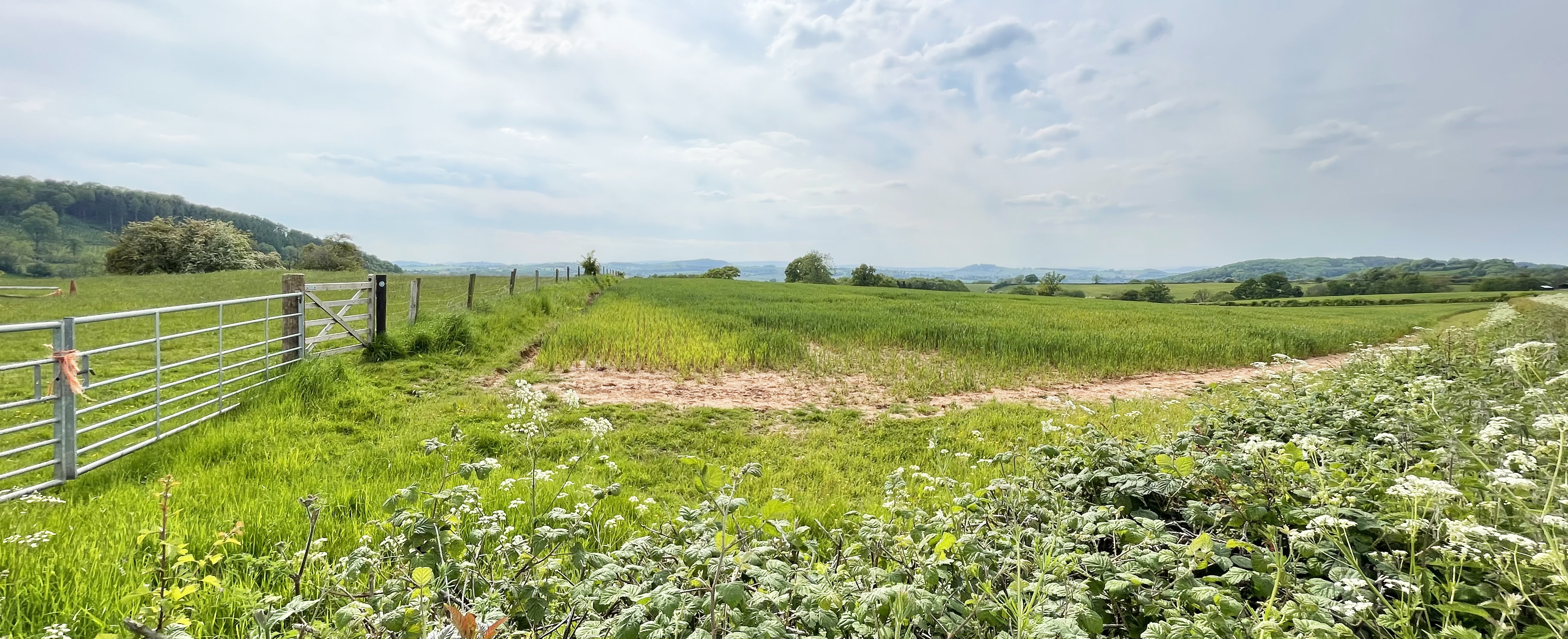 Cherry Hill in Fownhope Freeman Homes