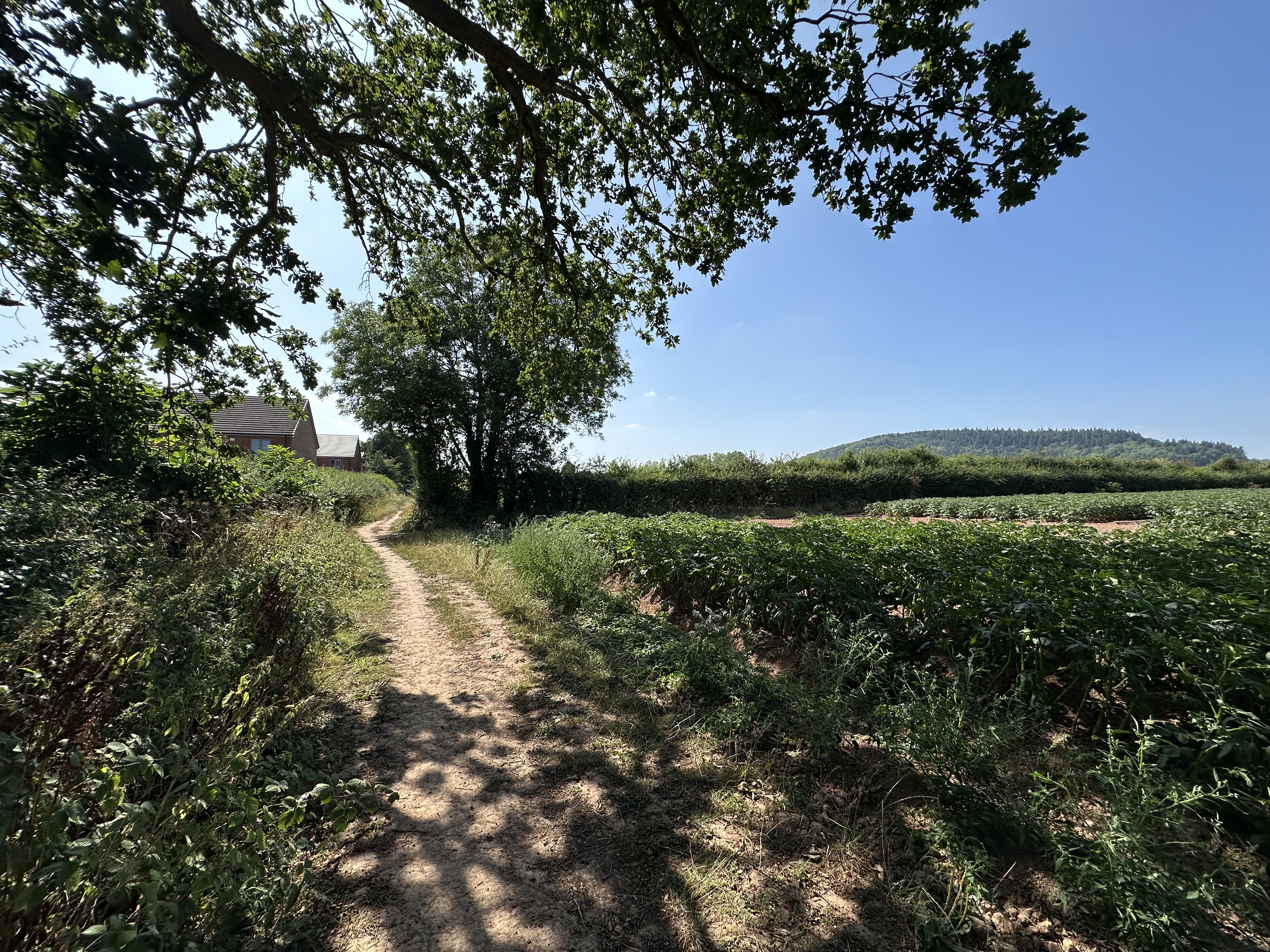 The Tennyson - Plot 34