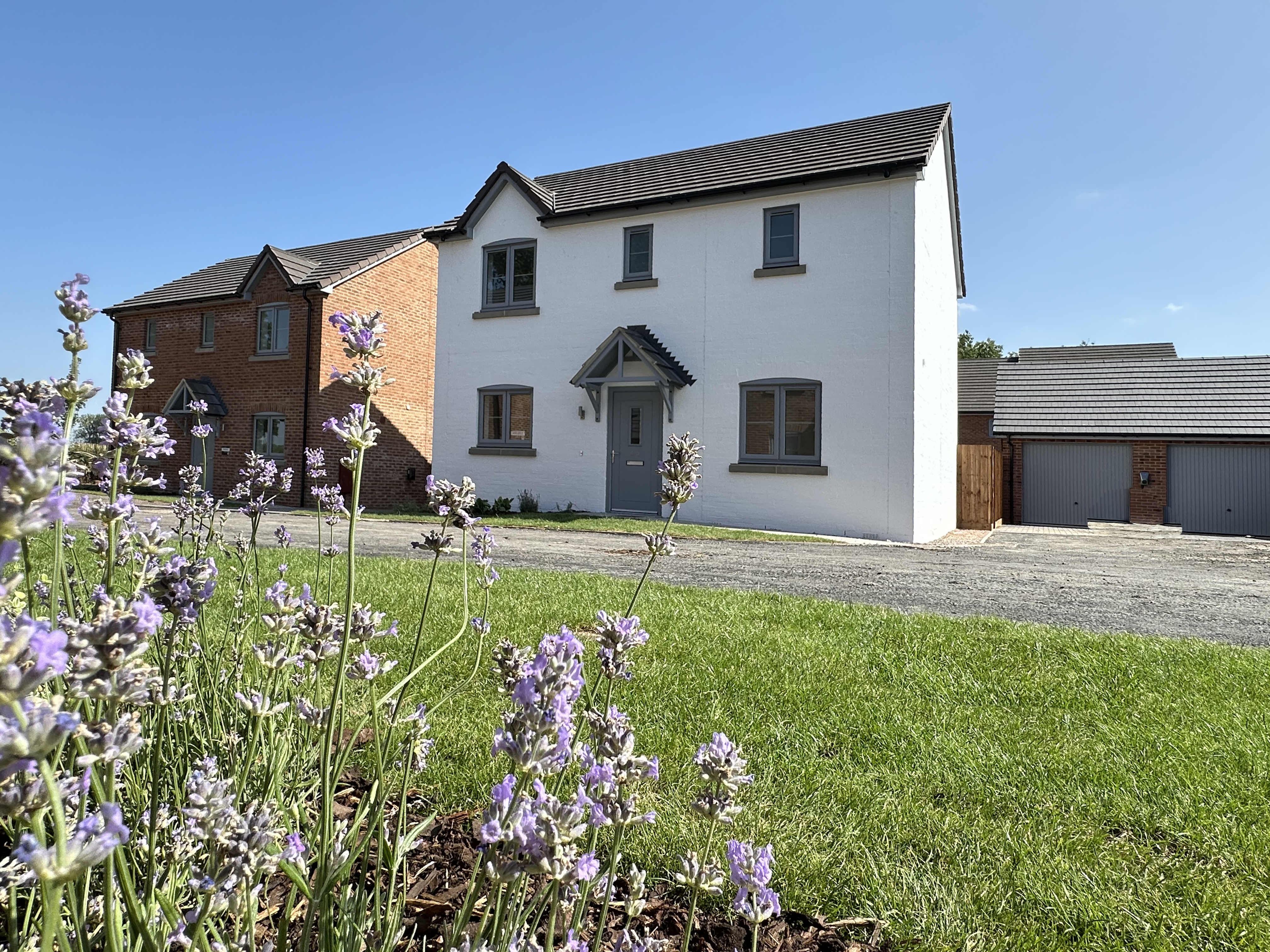 The Potter - Plot 38