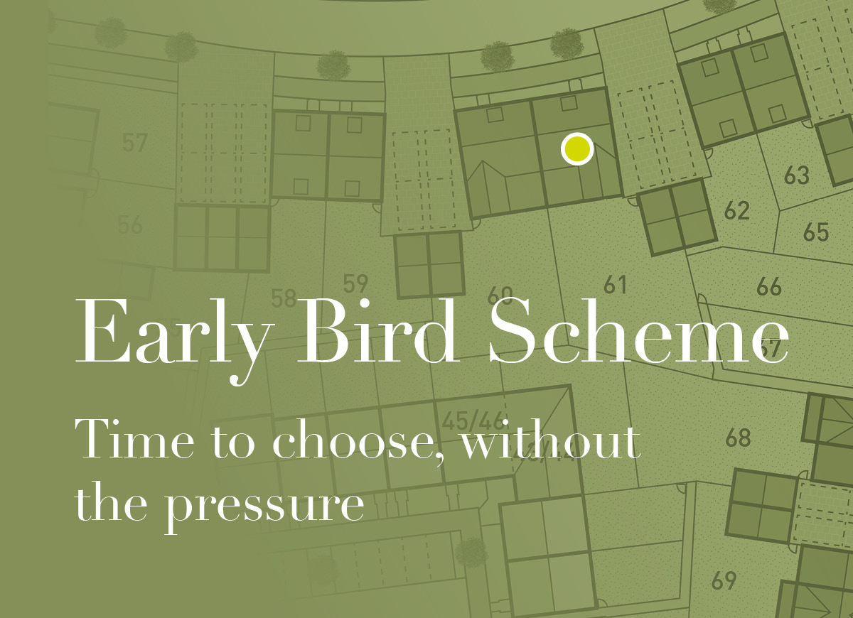 Early Bird Scheme